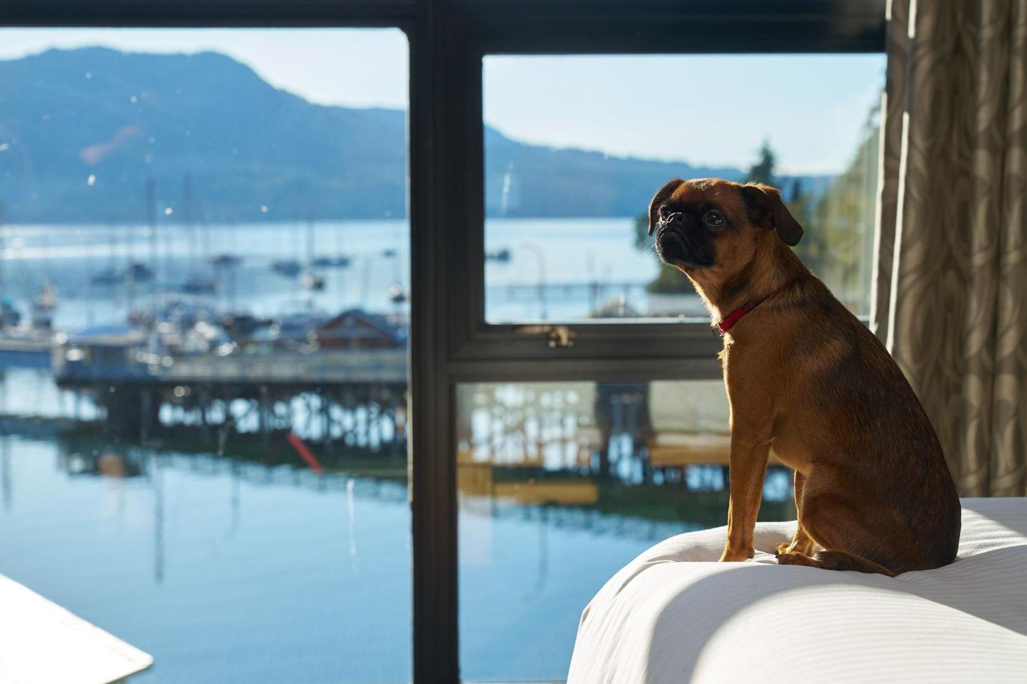 Brentwood Bay Resort & Spa Eksteriør billede